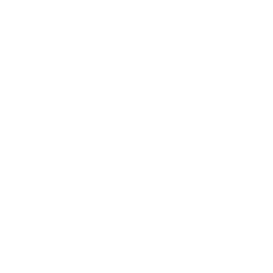 BIFF Selections Logo