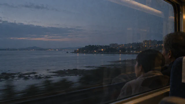 Unfinished Journeys Home: Diaspora, Migration and the Redefinition of Home