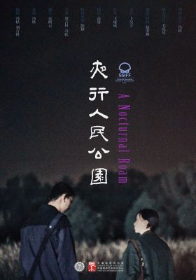 A Nocturnal Roam poster