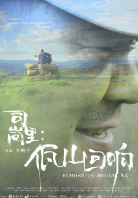 Echoes in Mount Wa poster