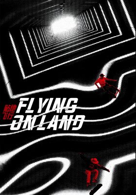Flying On Land poster