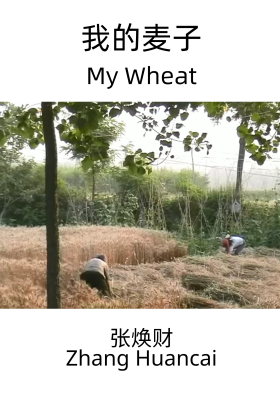 My Wheat poster