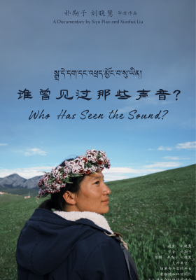 Who Has Seen the Sound? poster