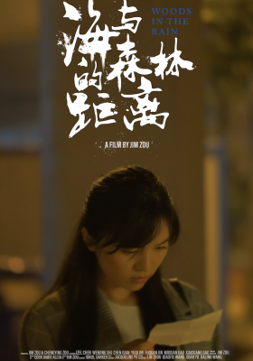 Woods in the Rain poster